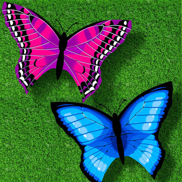 TOY Life 2 Pack Kites for Kids Ages 4-8 8-12, Large Butterfly Kites for Adults and Toddlers Age 3-5, Outdoor Toy Games Beach Kit