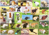 Better Me Pooping Dogs 1000-Piece Puzzle - Funny Cardboard Jigsaw for Dog Lovers, Super Poopinator 3000 Model