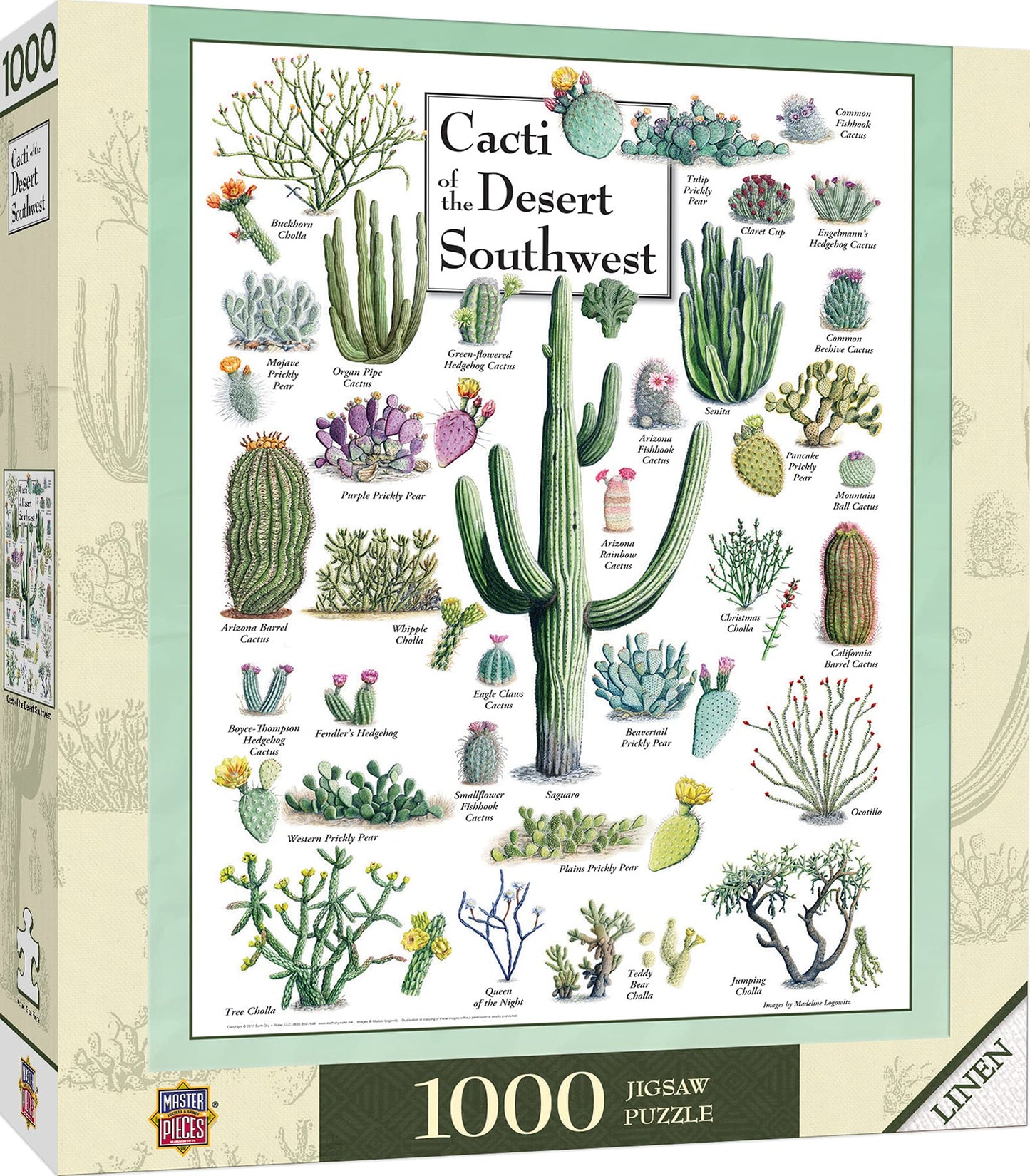 Masterpieces 1000 Piece Jigsaw Puzzle For Adults, Family, Or Youth - Cacti Of The Desert Southwest - 19.25'X26.75'
