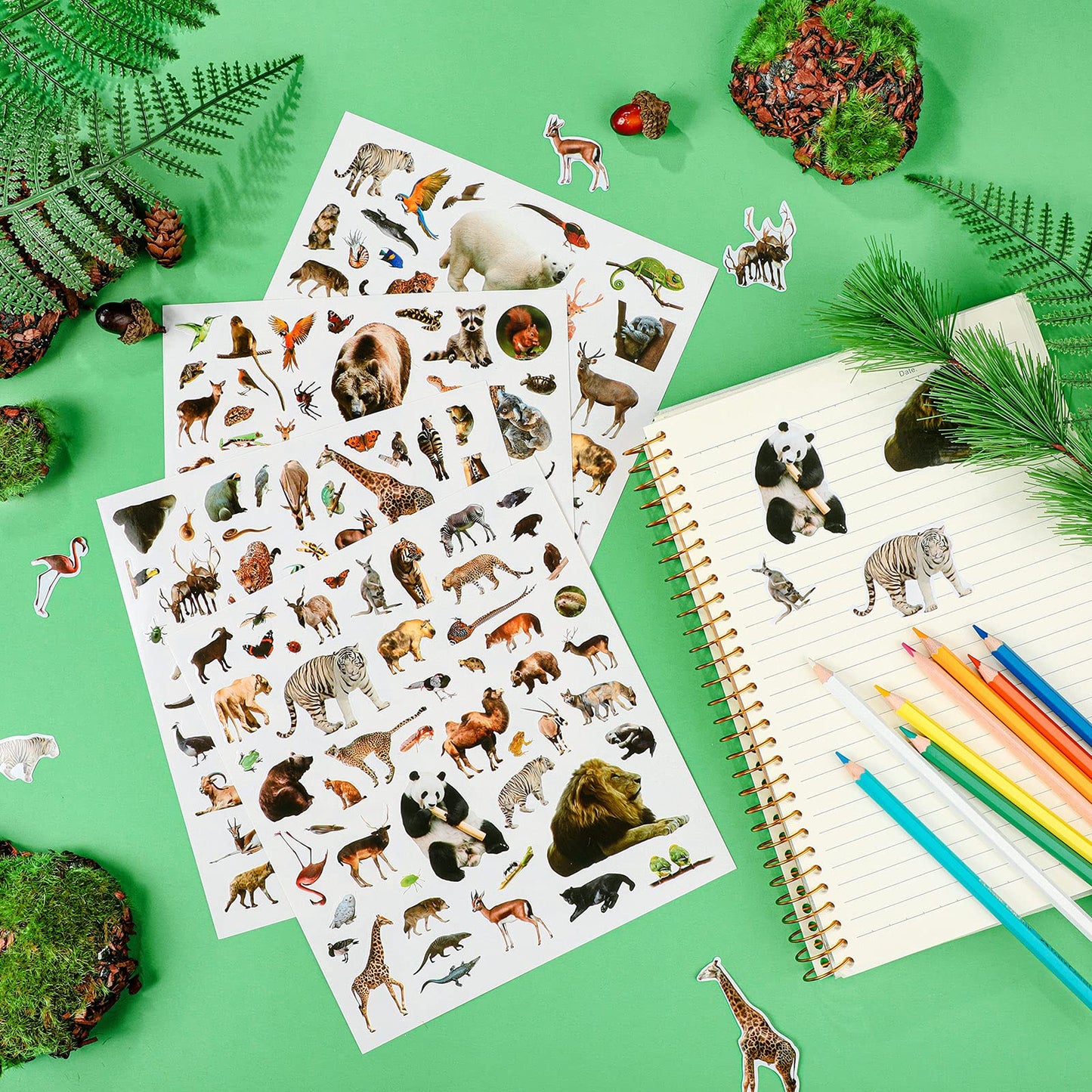 800 Pieces Jungle Animal Stickers Realistic Zoo Animal Stickers Safari Animal Stickers Sea Animal Stickers For Water Bottle Scrapbook Class Rewards Sea Animal Party Supplies (Jungle Animal)