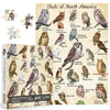 Owl Puzzles For Adults 1000 Pieces, Bird Animal Jigsaw Puzzle Features 21 Famous Owls Of North America, Nature Animal Puzzles As