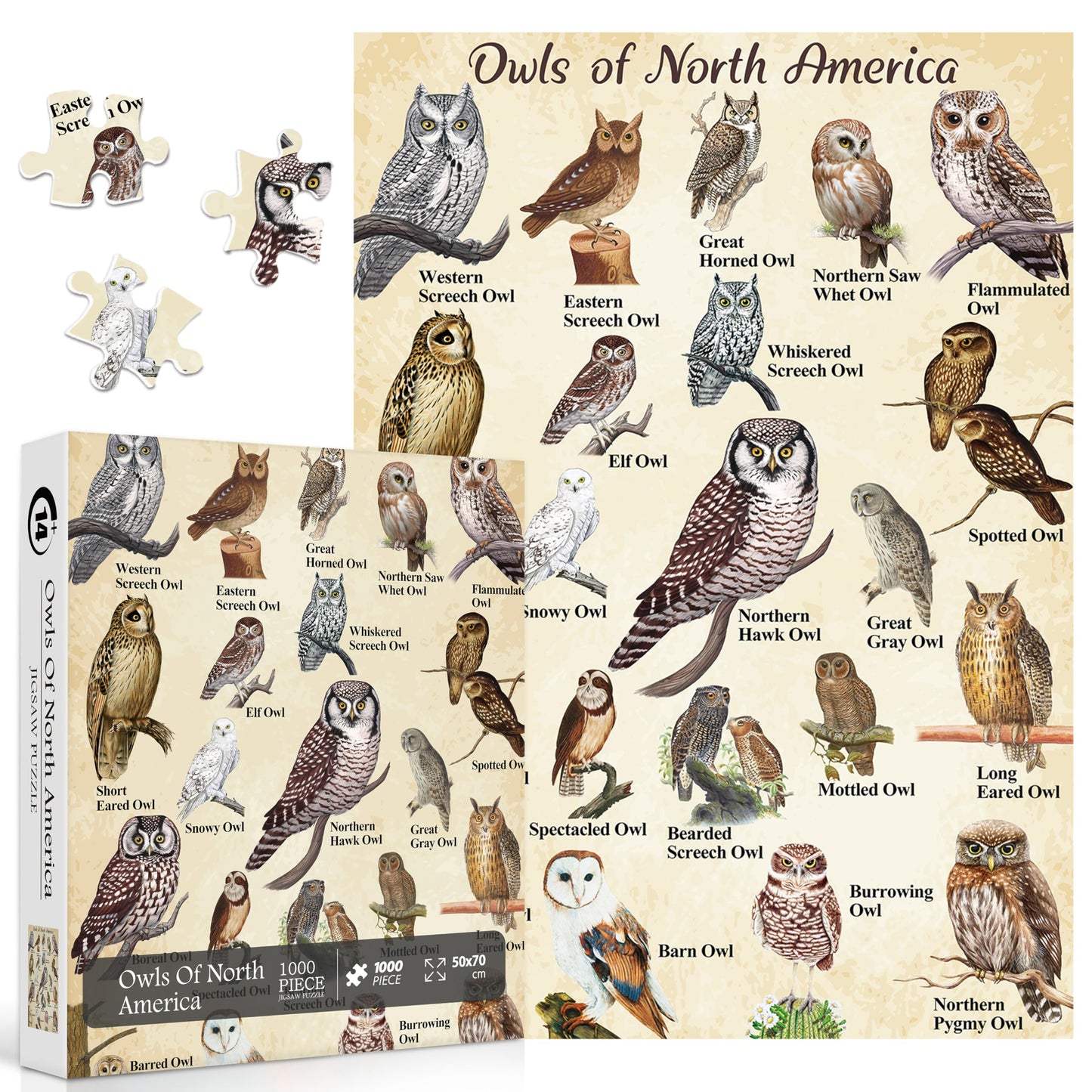 Owl Puzzles For Adults 1000 Pieces, Bird Animal Jigsaw Puzzle Features 21 Famous Owls Of North America, Nature Animal Puzzles As