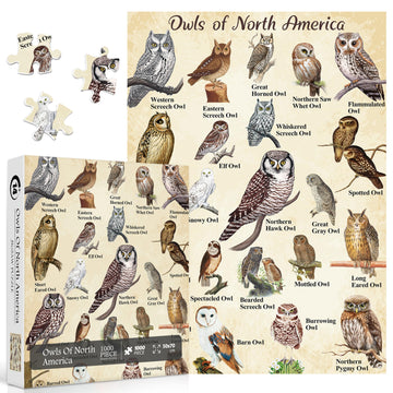 Owl Puzzles For Adults 1000 Pieces, Bird Animal Jigsaw Puzzle Features 21 Famous Owls Of North America, Nature Animal Puzzles As