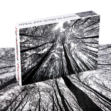 Bgraamiens Puzzle-Forest In Black And White-1000 Pieces Creative Black And White Nature Scenery Hard Puzzle Blue Board Jigsaw Pu