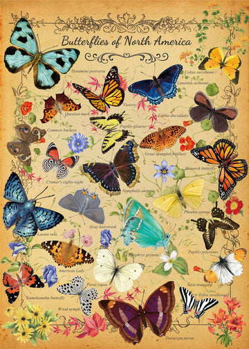 Vintage Butterfly Puzzle For Adults 1000 Piece, North America Flower Plant Butterflies Jigsaw Puzzle, Plant Puzzles For Adults