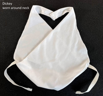 California Costumes, Sojourner Truth, Child Medium,Blue/White