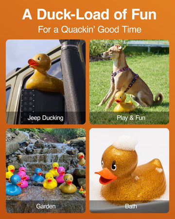 Giant Rubber Duck - 10.5'' Inches - Our Large Rubber Duck Provides Big Rubber Ducky Fun In A Cute Custom Giftable Box - Traditio