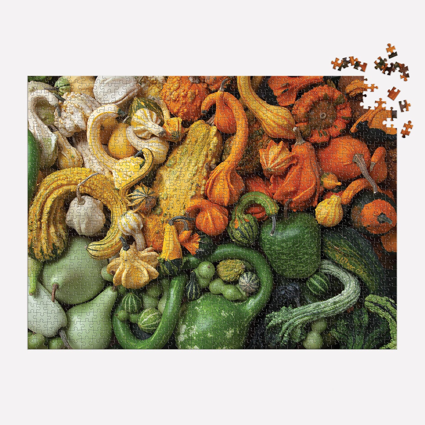 Galison Gourds 1000 Piece Puzzle From Galison - 27'' X 20'' Puzzle, Beautiful Art By Julie Seabrook Ream, Thick And Sturdy Piece