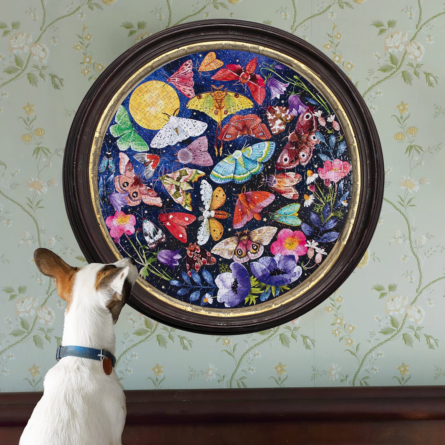 eeBoo Piece and Love Moths 500 Piece Round mature-themed Jigsaw Puzzle/Ages 14+ (PZFMOT)