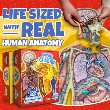 Human Anatomy Kids Floor Puzzle - Dr Livingston Jr'S 100-Piece Full Body Jigsaw Puzzle - 4 Ft Medically Accurate Floor Puzzles For Kids Ages 6-8, 4-8, 8-10 - Educational Toys For Children, Toddlers