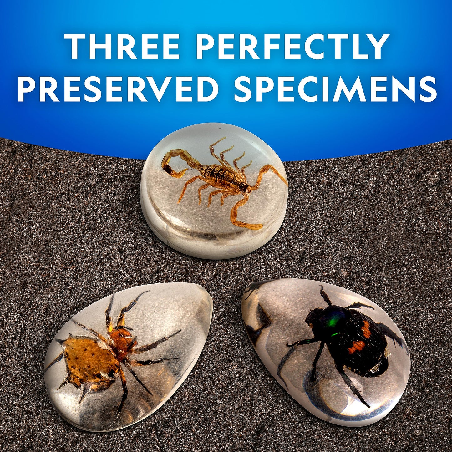 National Geographic Real Bug Dig Kit - Dig Up 3 Real Insects Including Spider, Fortune Beetle And Scorpion - Great Stem Science Gift