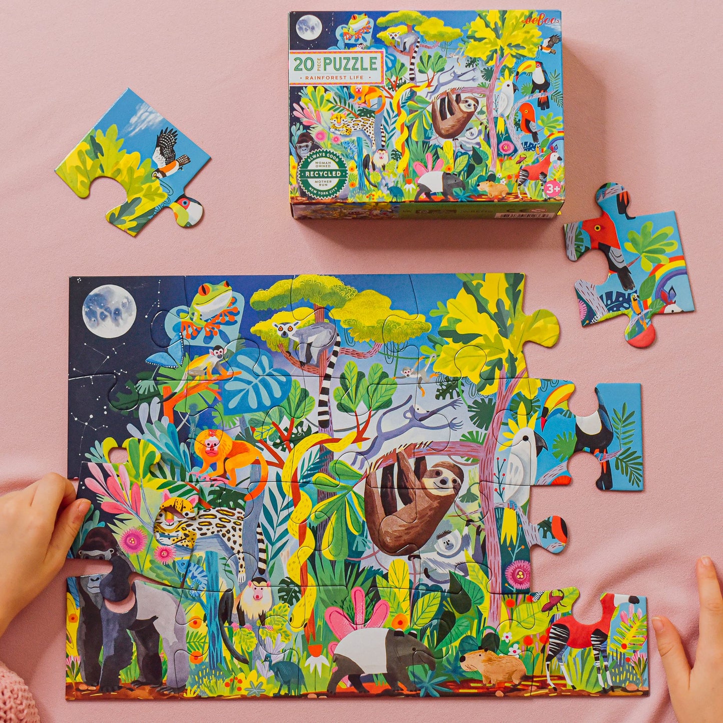 Eeboo: Rainforest Life 20 Piece Jigsaw Puzzle, Aids In Development Of Pattern, Shape, And Color Recognition, Offers Children A Challenge, Perfect For Ages 5 And Up