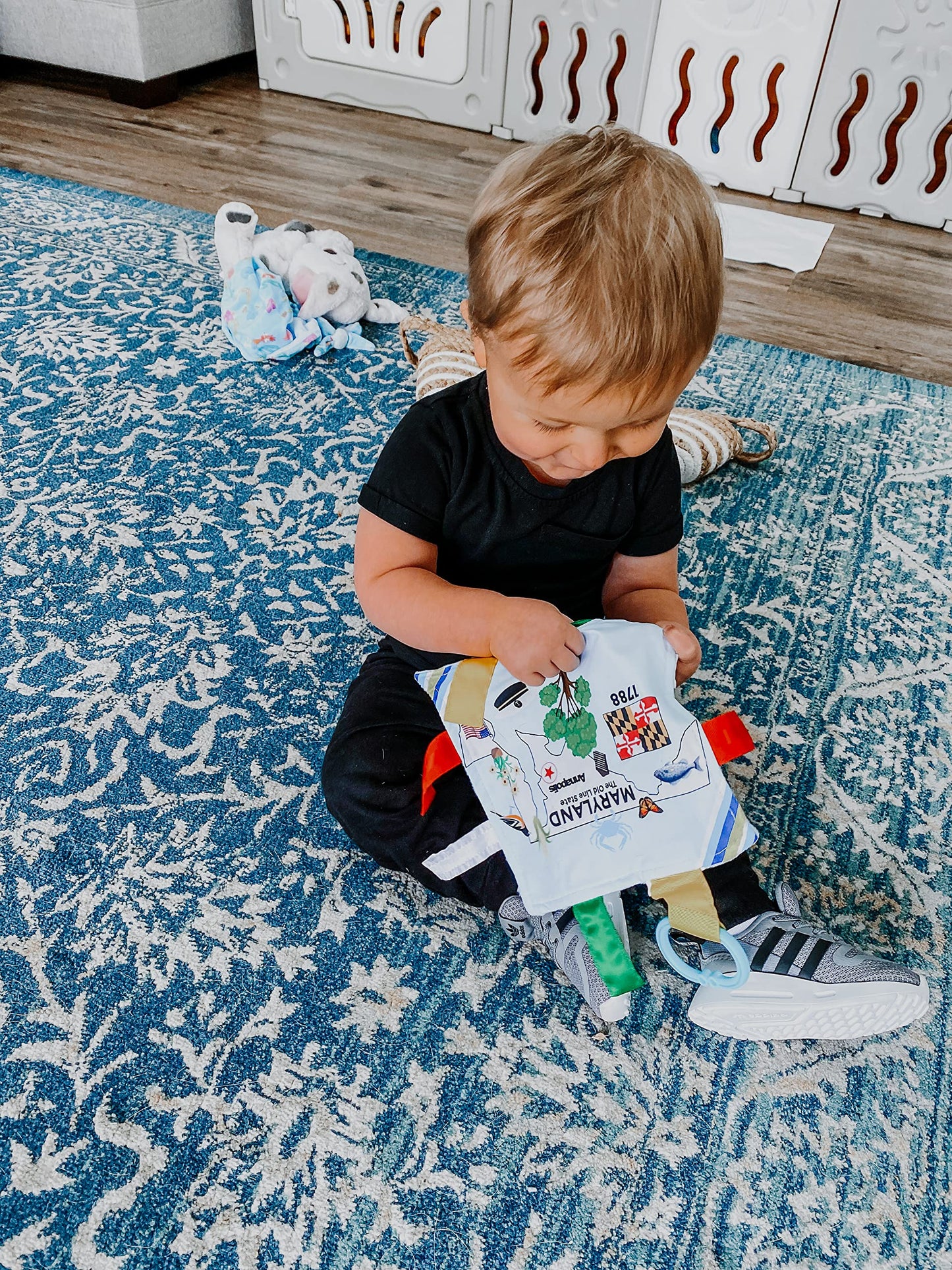 Baby Jack & Co 8X8” Learning Lovey Tag Toys For Babies - Baby Crinkle Toys - Crinkle Toys For Baby - Soft & Safe - Learn Usa State Facts - Ideal Baby Toy Bpa Free W/Stroller Clip (Maryland)