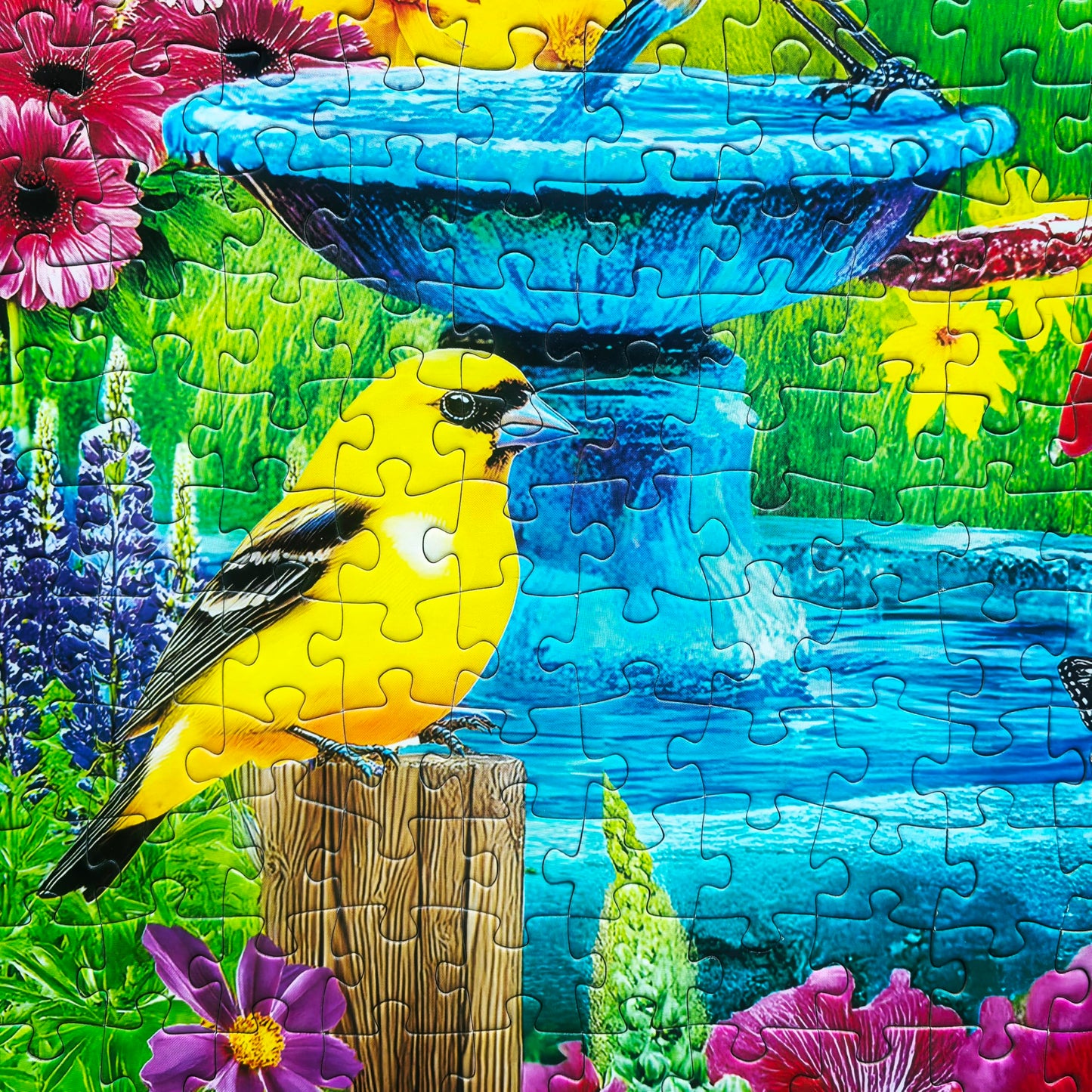 500 Piece Puzzle for Adults - Jigsaw Puzzles - Songbirds of Spring