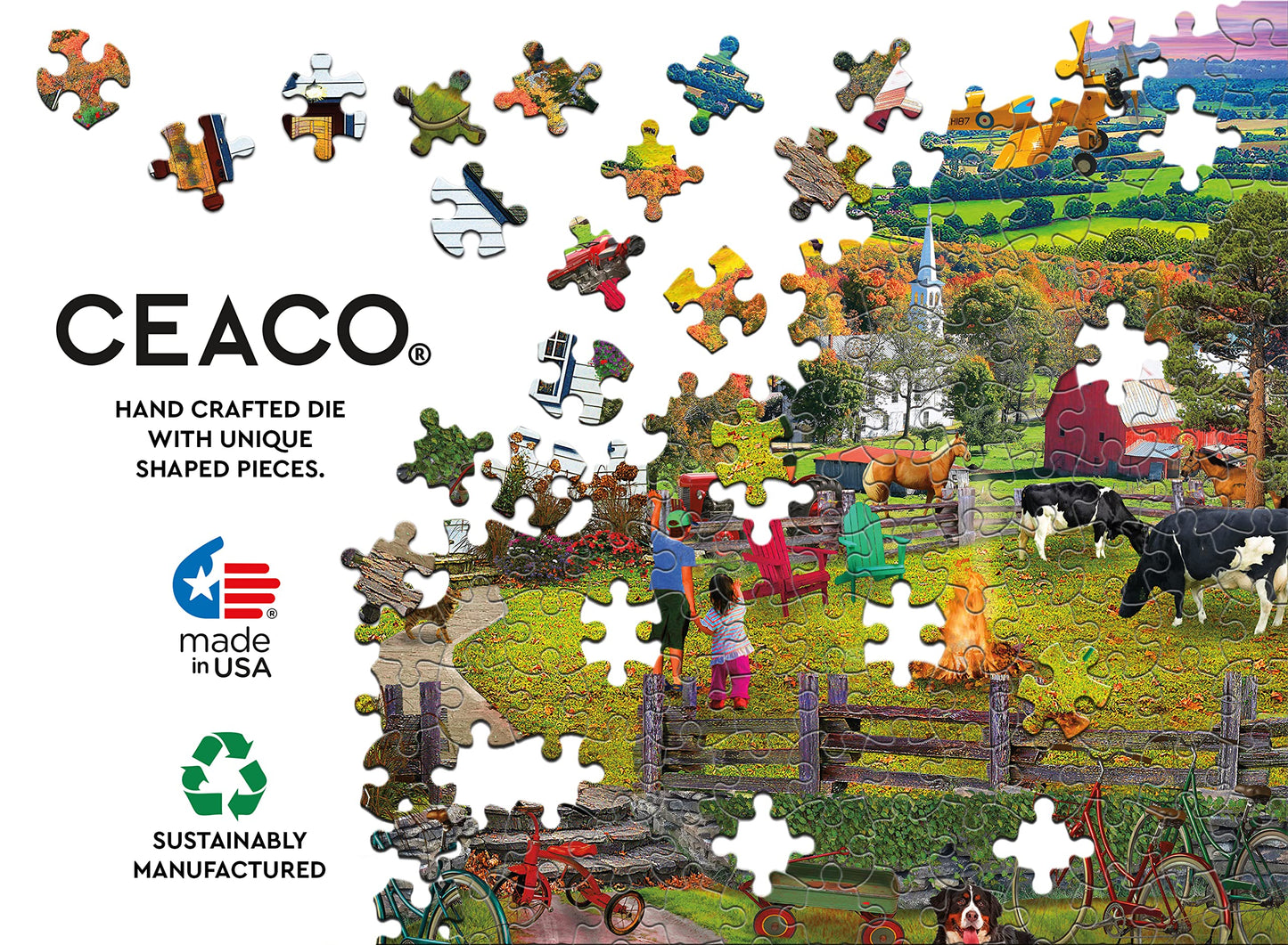 Ceaco - David Maclean - The Fly By - 1000 Piece Jigsaw Puzzle