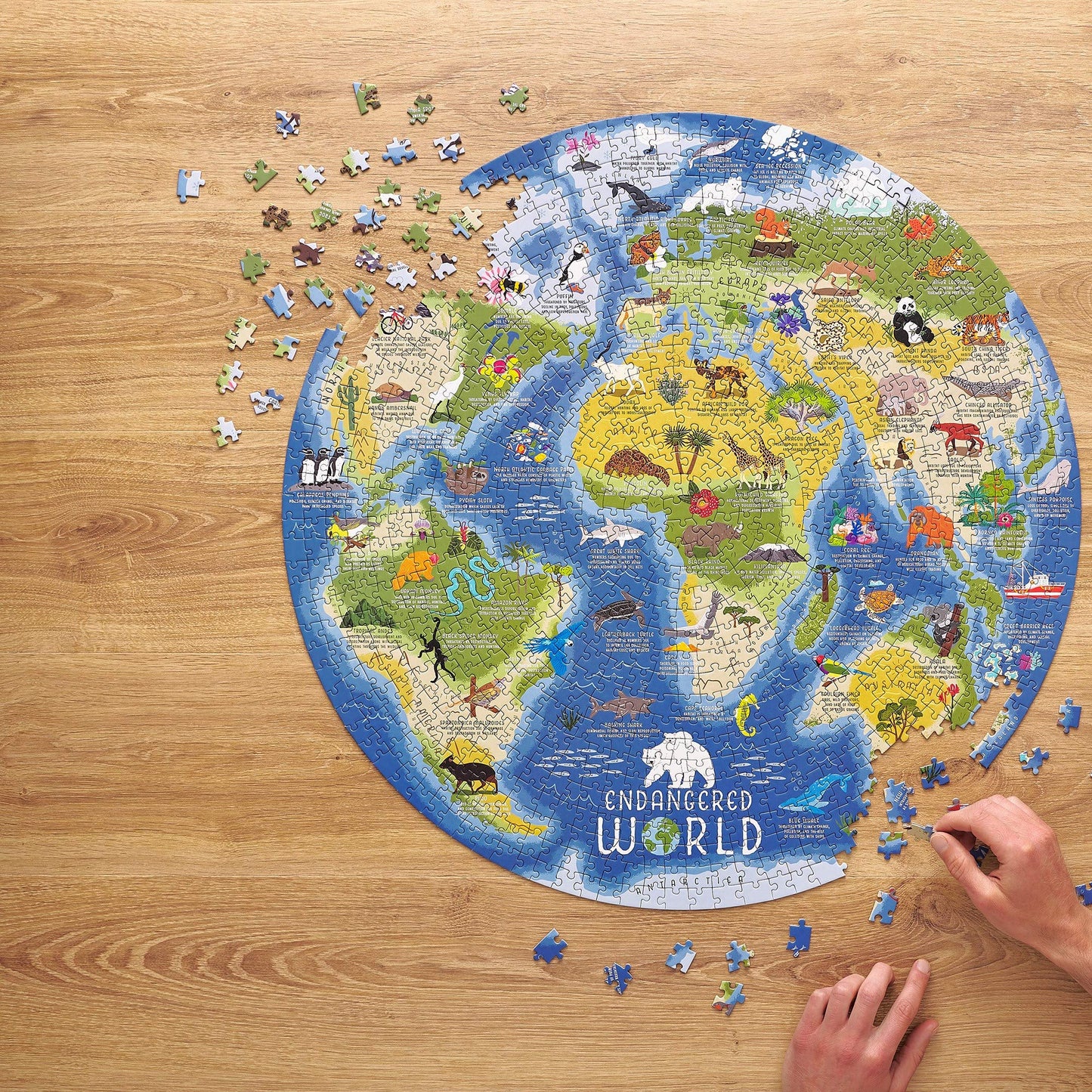 Ridley'S Endangered World 1,000-Piece Jigsaw Puzzle – Circular Animal Puzzle With Informational Image About Different Endangered Animals, Sturdy Storage Tube Included – Makes A Great Gift