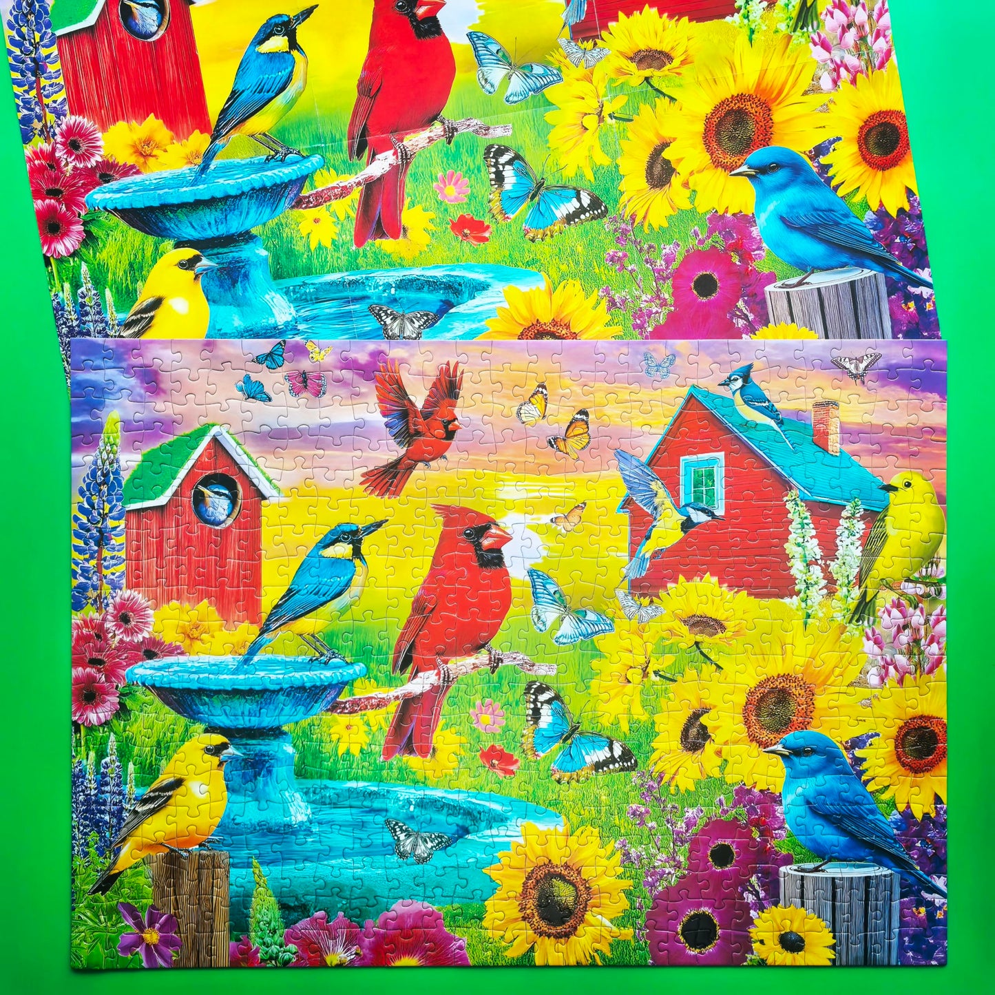 500 Piece Puzzle for Adults - Jigsaw Puzzles - Songbirds of Spring