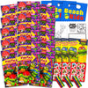 Set Of 15 Teenage Mutant Ninja Turtles Play Packs Fun Party Favors Coloring Book Crayons Stickers