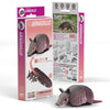 Armadillo 3D Cardboard Model Kit Eugy