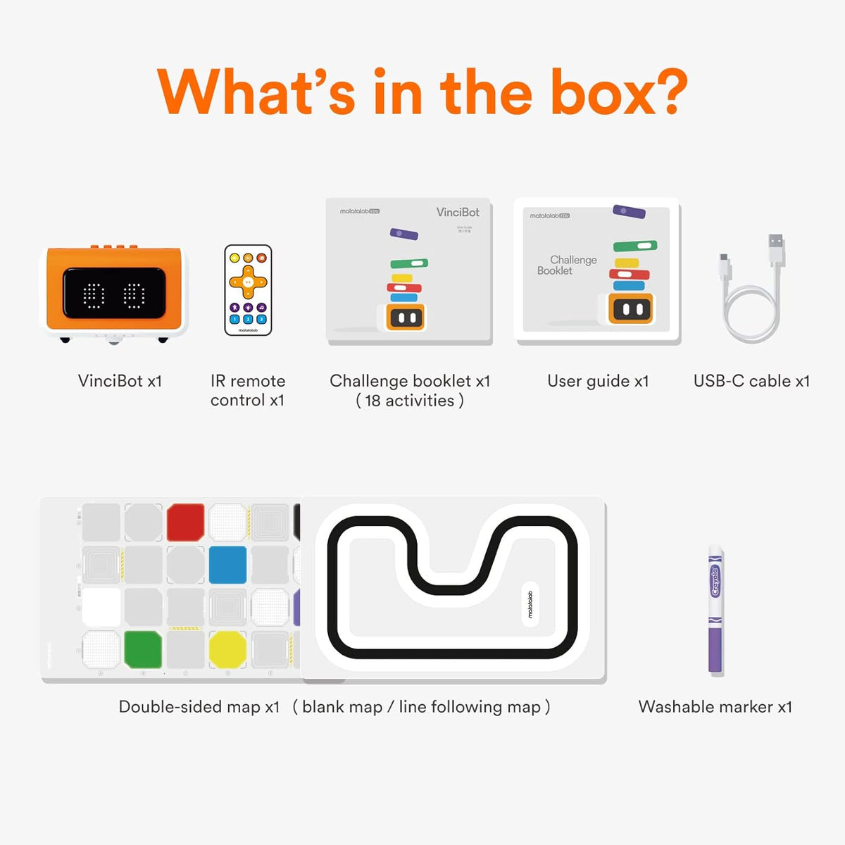 Build Your Own Smart Coding Robot with AI and Python STEM Fun