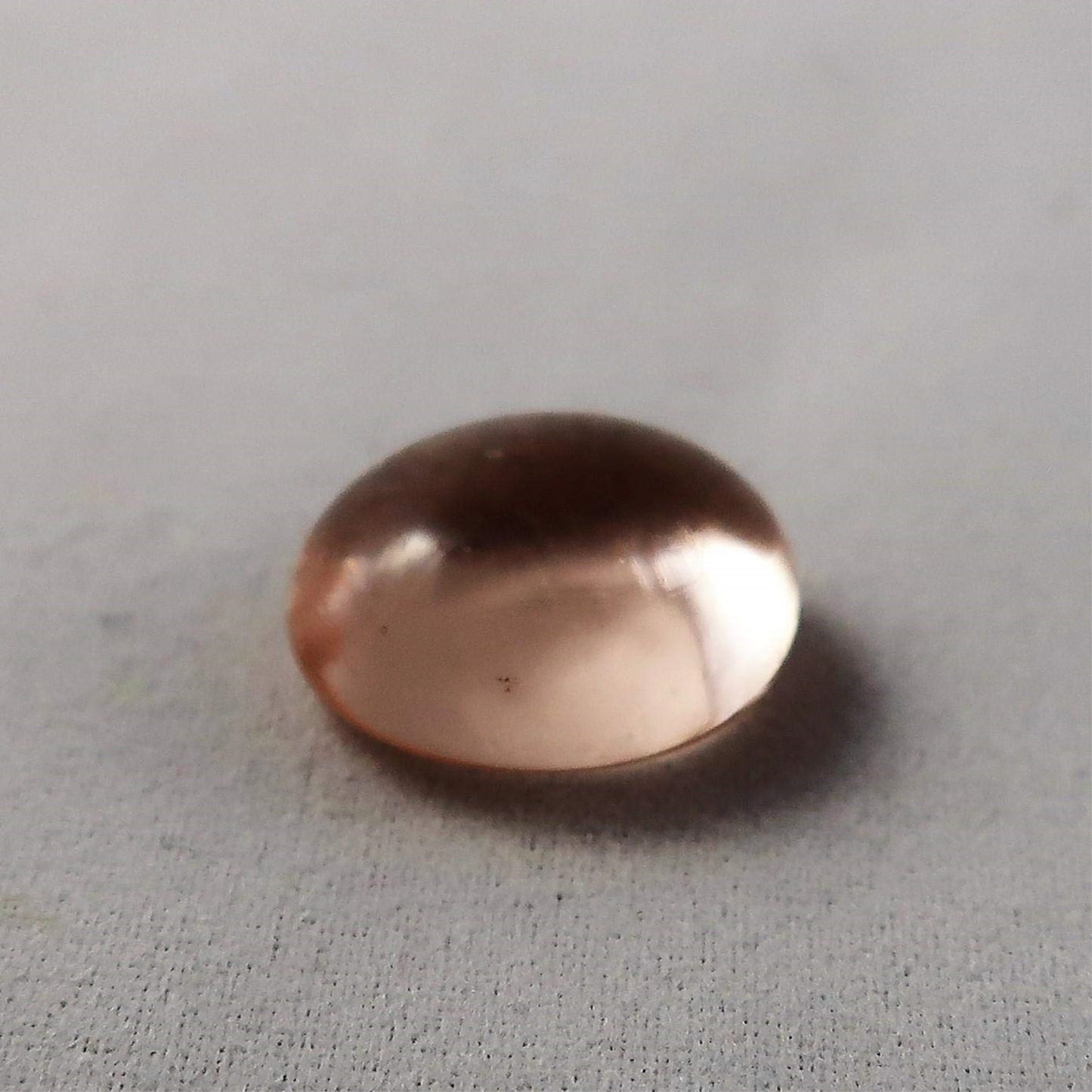 Chessex 1134 Supplies, Multi-Colour