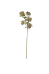 Botanica #3423