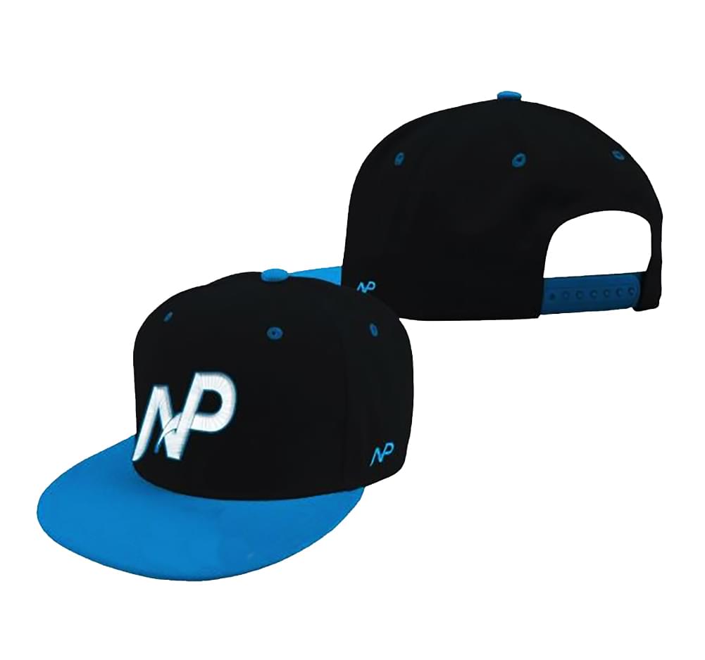 Team Np Logo Snapback Hat