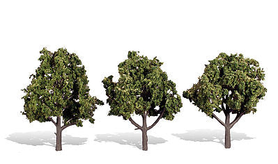 4 - 5 In Sun Kissed Trees