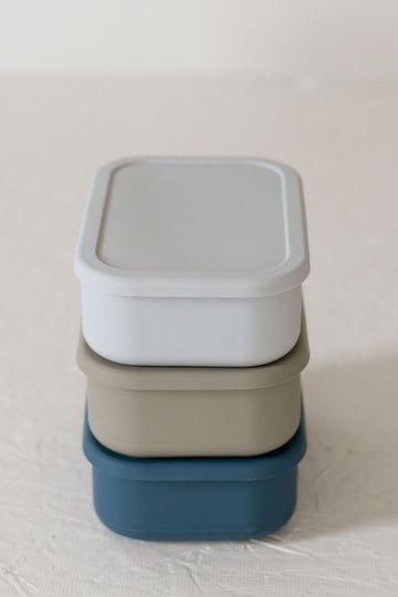 Silicone Bento box