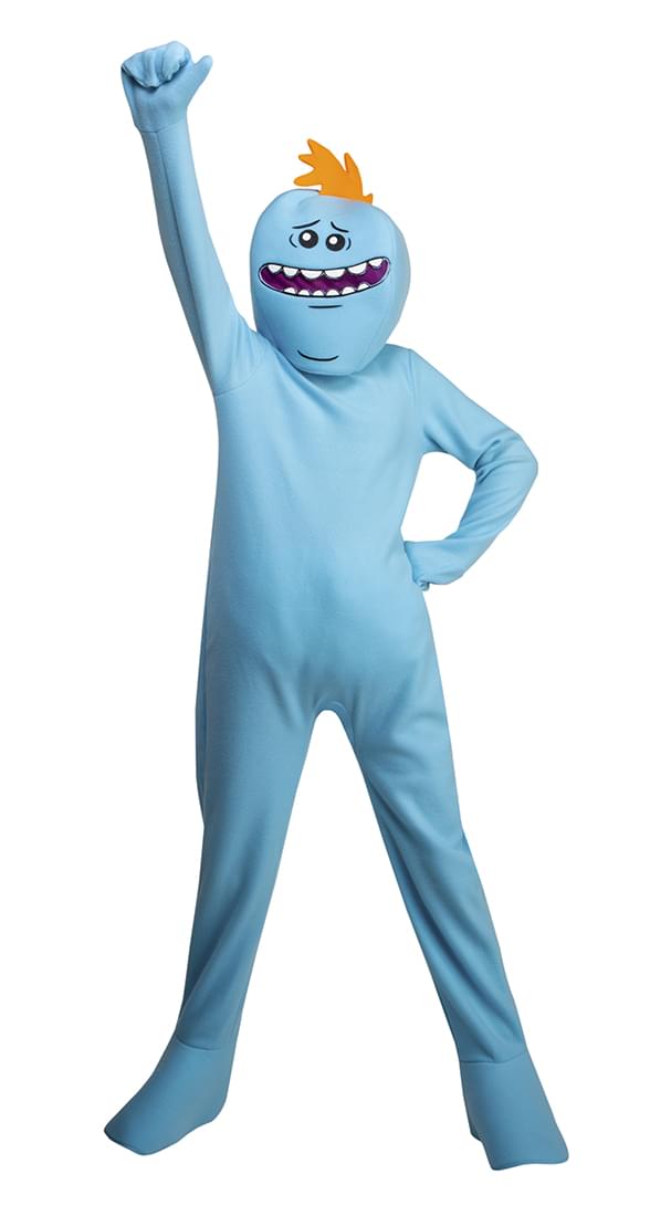 Rick And Morty Mr. Meeseeks Teen Costume - Size 14-16