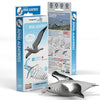 Royal Albatross 3D Cardboard Model Kit Eugy