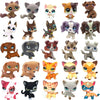 Rare pet toy Stands Short Hair Kitten Dog Dachshund Collie Spaniel Great Dane Original Bobble head toy lps