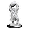Wizkids Pathfinder Deep Cuts Unpainted Miniatures: Wave 11: Ogre