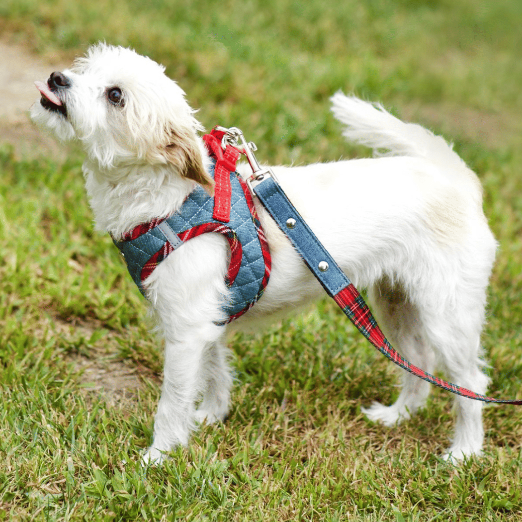 Step-In Denim Dog Harness - Red Plaid(D0102H53XM6)