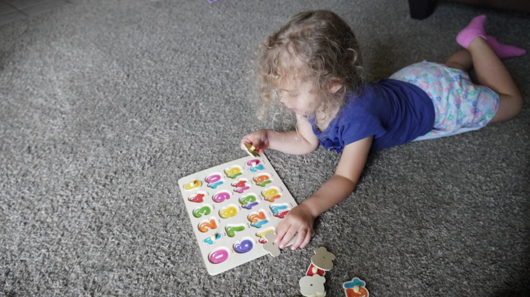 Toy