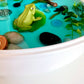 Pond Life Cycle Sensory Kit And Water Play