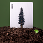 Smokey Bear Playing Cards