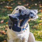 Redwood Raccoon X-Brace® Plush Dog Toy