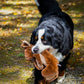 Maple Moose X-Brace® Durable Plush Dog Toy