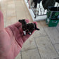 Articulated Horse Keychain V1 (KEC3D)