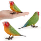 Simulated Real Wild Animal Bird Model, Diamond Parrot, Flamingo, Bird, Bird, 9-Piece Figure Set