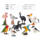 Simulated Real Wild Animal Bird Model, Diamond Parrot, Flamingo, Bird, Bird, 9-Piece Figure Set