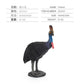 Simulated Real Wild Animal Bird Model, Diamond Parrot, Flamingo, Bird, Bird, 9-Piece Figure Set