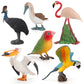 Simulated Real Wild Animal Bird Model, Diamond Parrot, Flamingo, Bird, Bird, 9-Piece Figure Set