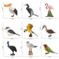 Simulated Real Wild Animal Bird Model, Diamond Parrot, Flamingo, Bird, Bird, 9-Piece Figure Set