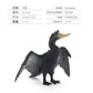 Simulated Real Wild Animal Bird Model, Diamond Parrot, Flamingo, Bird, Bird, 9-Piece Figure Set