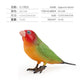 Simulated Real Wild Animal Bird Model, Diamond Parrot, Flamingo, Bird, Bird, 9-Piece Figure Set