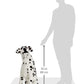 Melissa & Doug Dalmatian Plush Toy - 75cm Soft Animal for All Ages - White, Model 12110