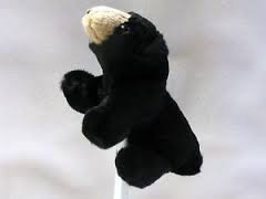 Folkmanis Mini Black Bear Finger Puppet