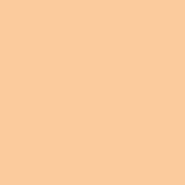Vallejo Color Fleshtone Premium Rc Colors
